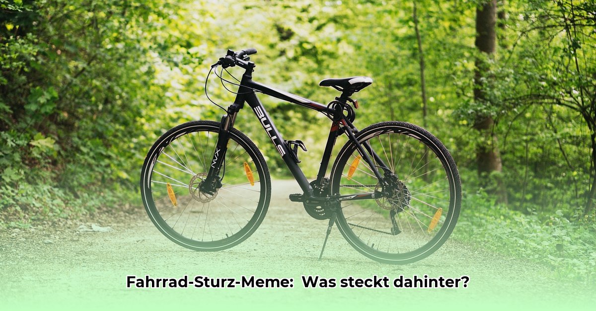 bicycle-stick-meme